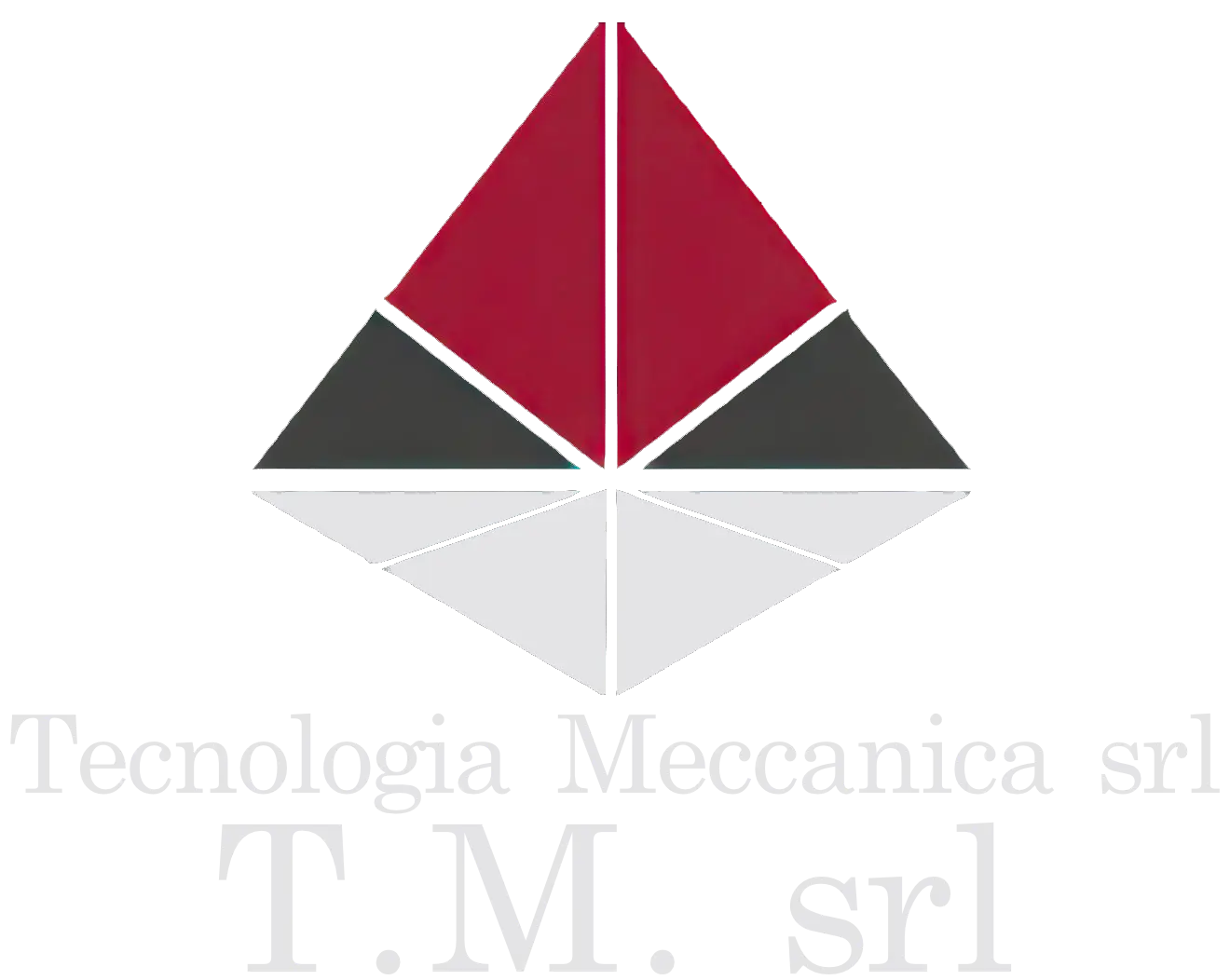 Logo Tecnologia Meccanica S.r.l.